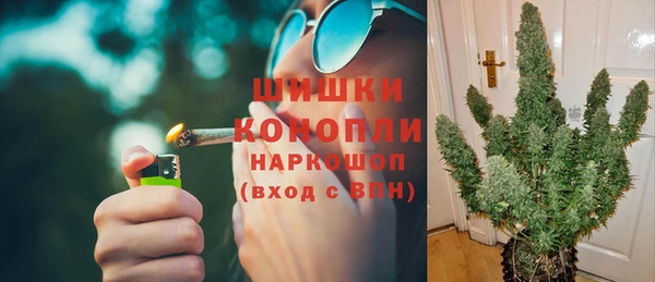 ГАЛЛЮЦИНОГЕННЫЕ ГРИБЫ Аркадак