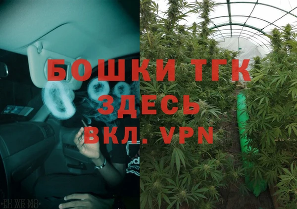 ГАЛЛЮЦИНОГЕННЫЕ ГРИБЫ Аркадак